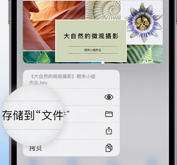 榕城apple维修中心分享iPhone文件应用中存储和找到下载文件