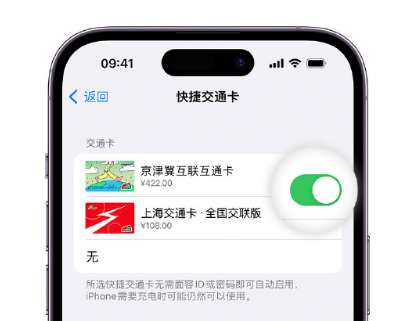 榕城apple维修点分享iPhone上更换Apple Pay快捷交通卡手绘卡面 