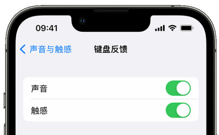 榕城苹果手机维修分享iPhone 14触感键盘使用方法 