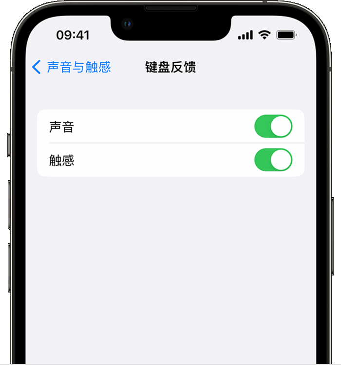 榕城苹果14维修店分享如何在 iPhone 14 机型中使用触感键盘 