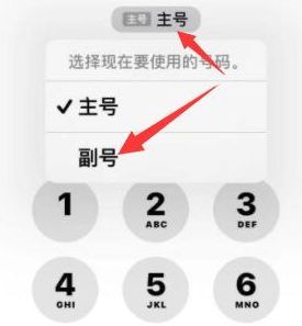 榕城苹果14维修店分享iPhone 14 Pro Max使用副卡打电话的方法 