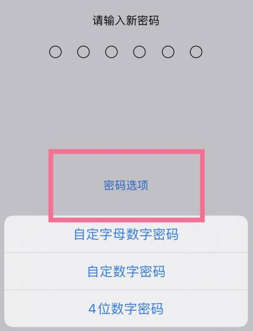 榕城苹果14维修分享iPhone 14plus设置密码的方法 