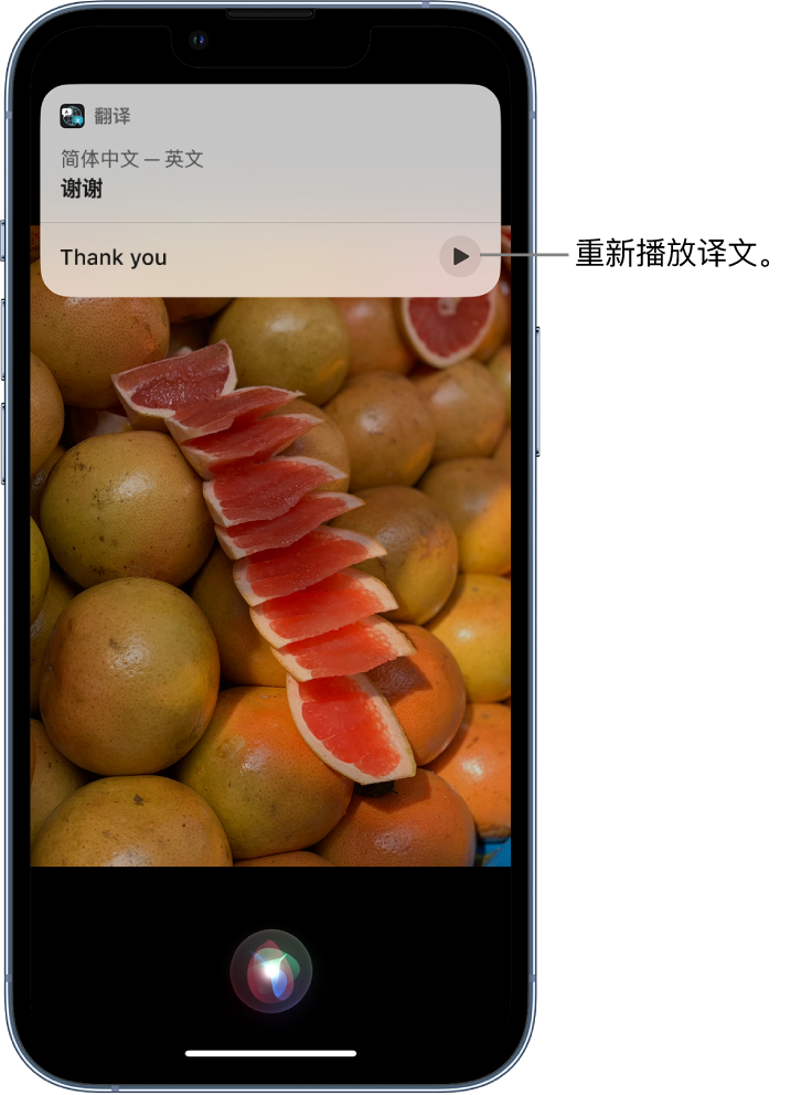 榕城苹果14维修分享 iPhone 14 机型中使用 Siri：了解 Siri 能帮你做什么 