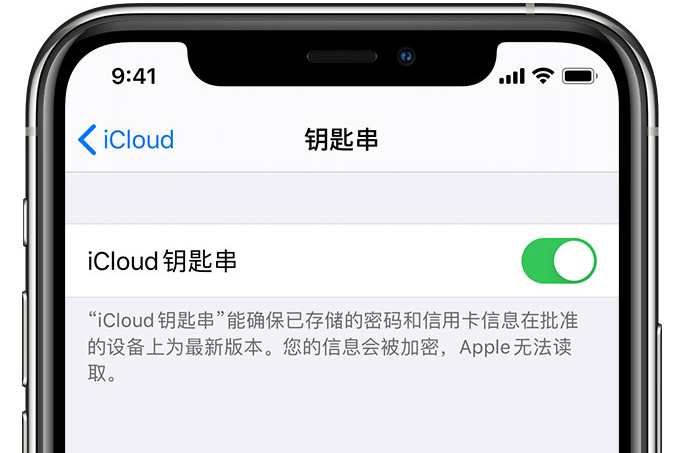 榕城苹果手机维修分享在 iPhone 上开启 iCloud 钥匙串之后会储存哪些信息 