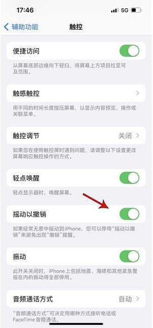 榕城苹果手机维修分享iPhone手机如何设置摇一摇删除文字 