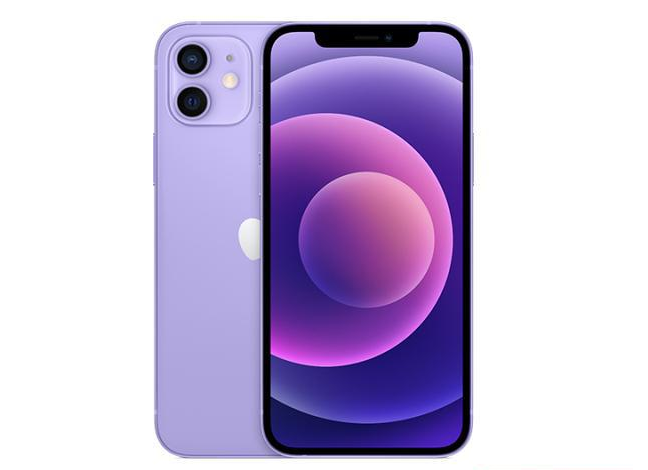 榕城苹果手机维修分享现阶段要不要入手紫色版iPhone12 
